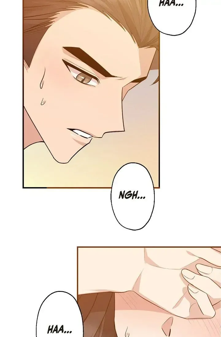 Obscene Contract Chapter 15 page 44 - 
