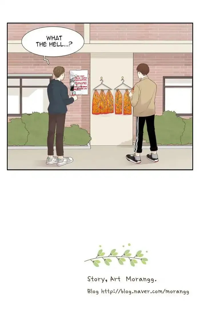 Read Odd Girl Out chapter 191.1 image 60 on Lezhin
