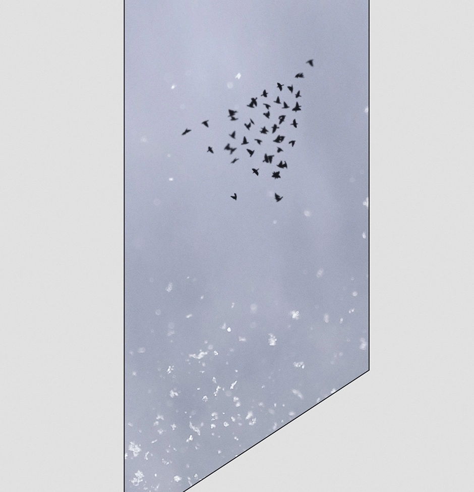 Read Off The Plate chapter 37 image 83 on Lezhin