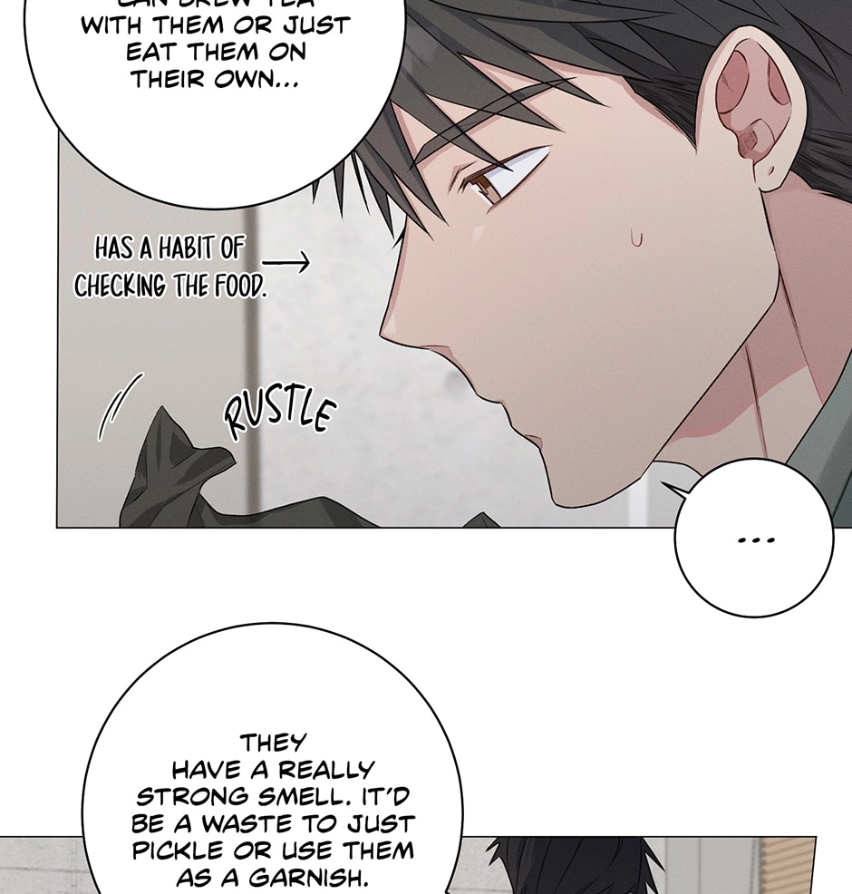 Read Off The Plate chapter 44 image 62 on Lezhin