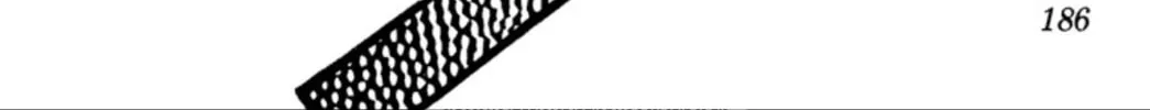Read Ogre Slayer chapter 73 image 87 on Lezhin