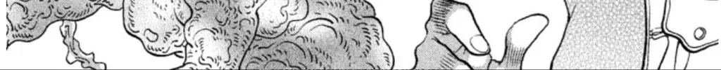 Read Ogre Slayer chapter 75 image 21 on Lezhin