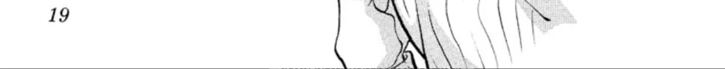 Read Ogre Slayer chapter 79 image 33 on Lezhin