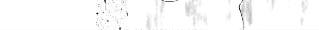 Read Ogre Slayer chapter 97 image 19 on Lezhin