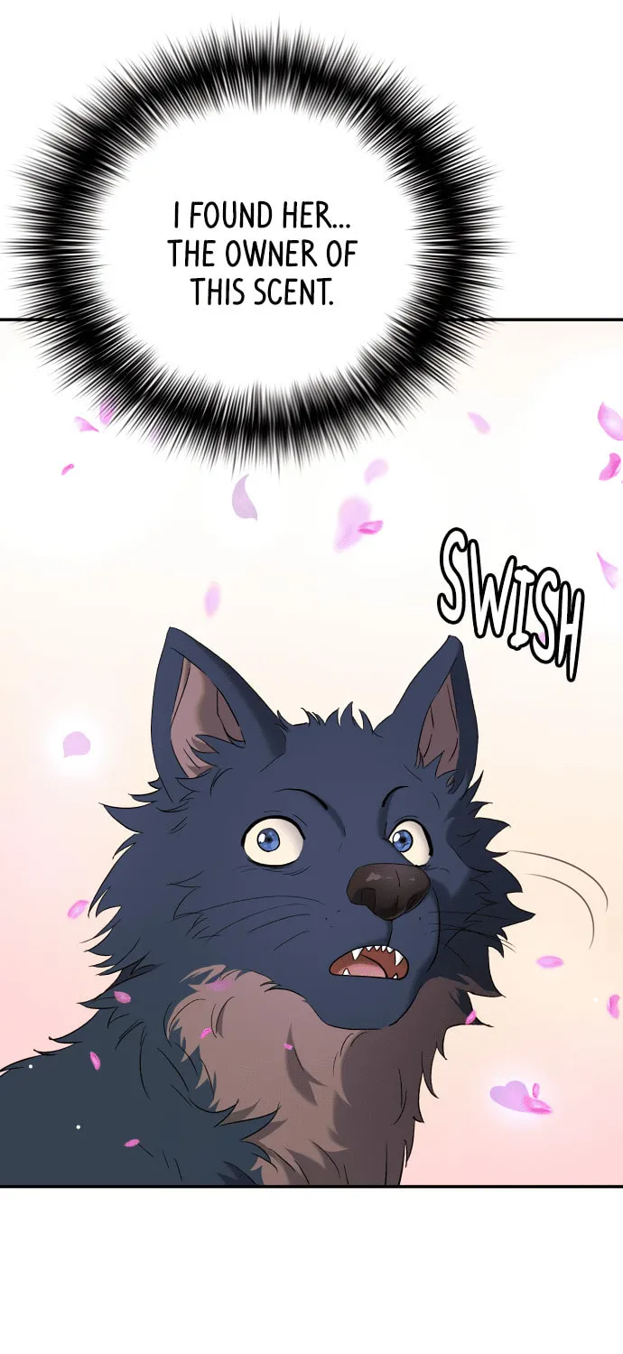 Read Oh! Dangun chapter 70 image 19 on Lezhin