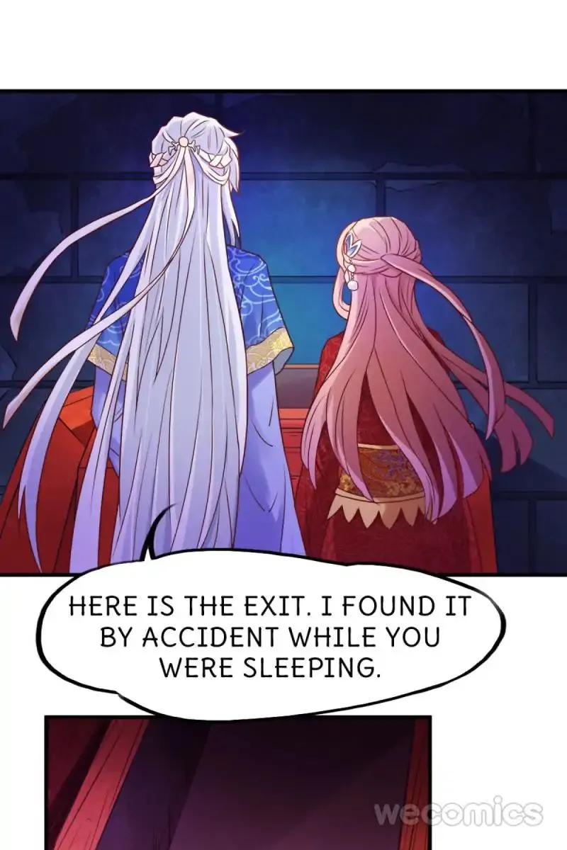 Oh My Little White Dragon Chapter 14 page 14 - 