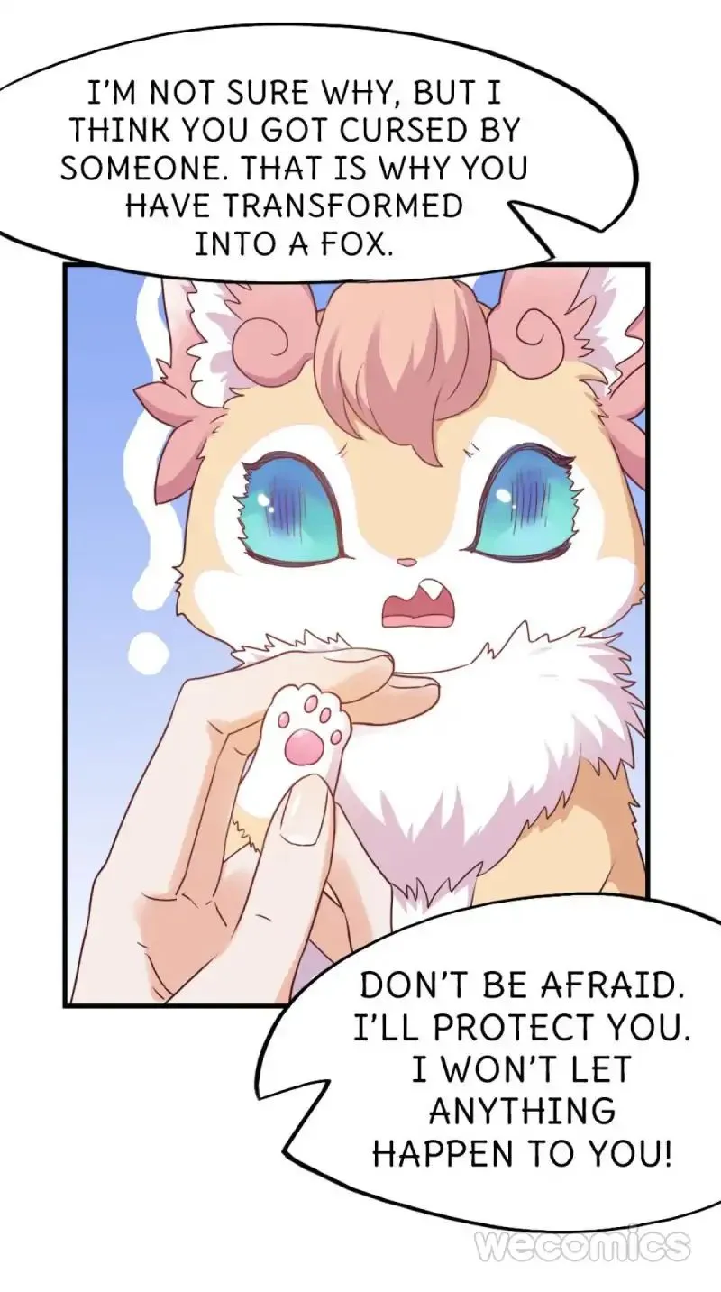 Oh My Little White Dragon Chapter 17 page 13 - 