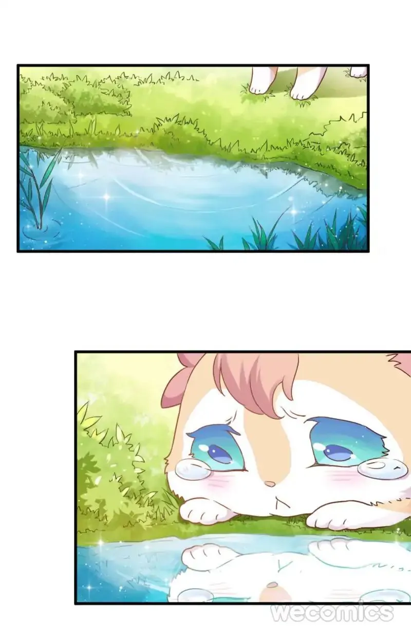 Oh My Little White Dragon Chapter 17 page 19 - 