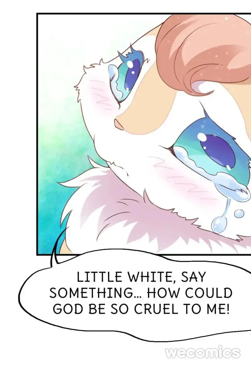 Oh My Little White Dragon Chapter 17 page 27 - 