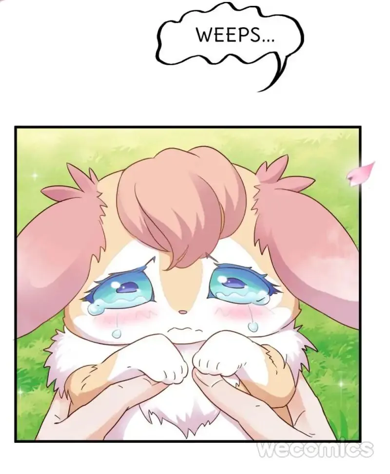 Oh My Little White Dragon Chapter 17 page 30 - 