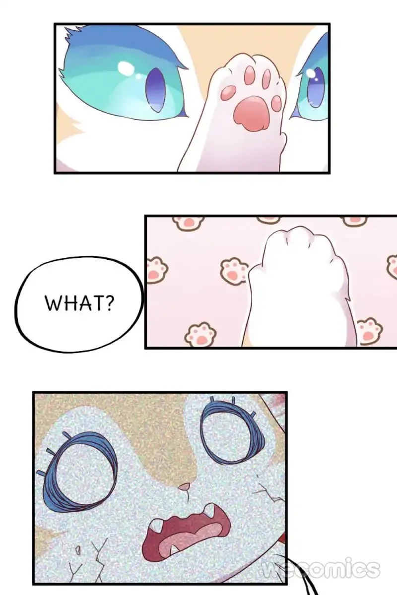 Oh My Little White Dragon Chapter 17 page 10 - 