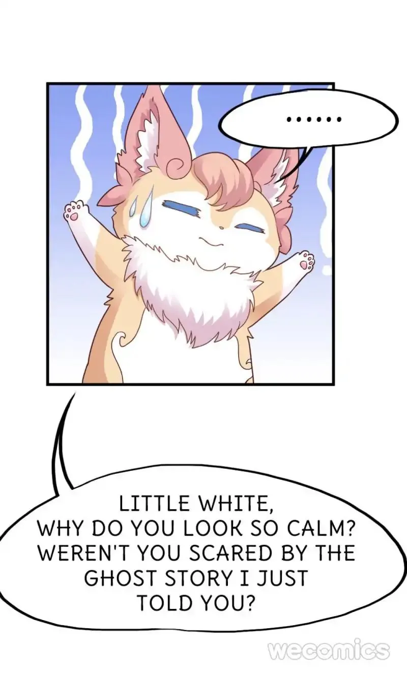 Oh My Little White Dragon Chapter 19 page 14 - 