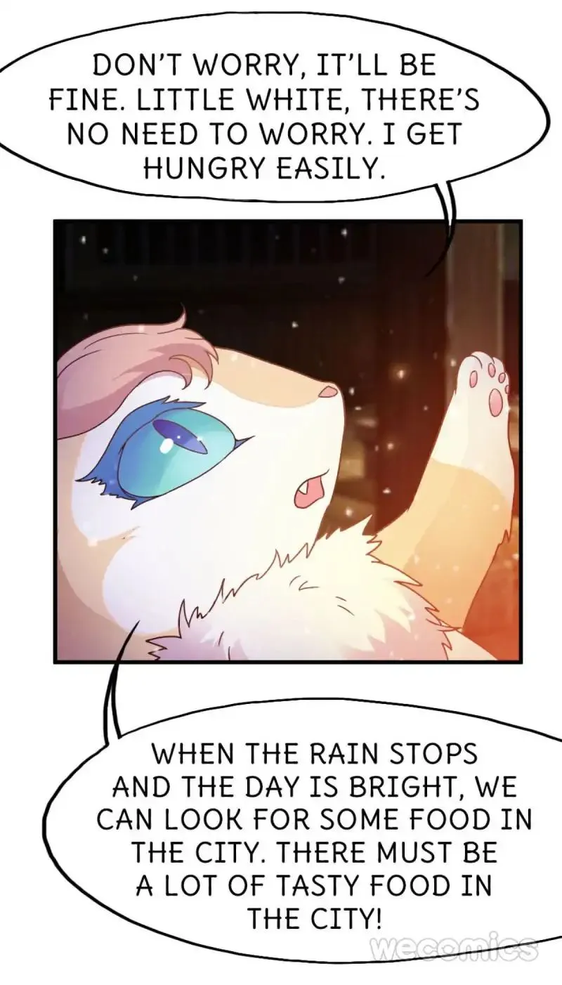 Oh My Little White Dragon Chapter 19 page 25 - 