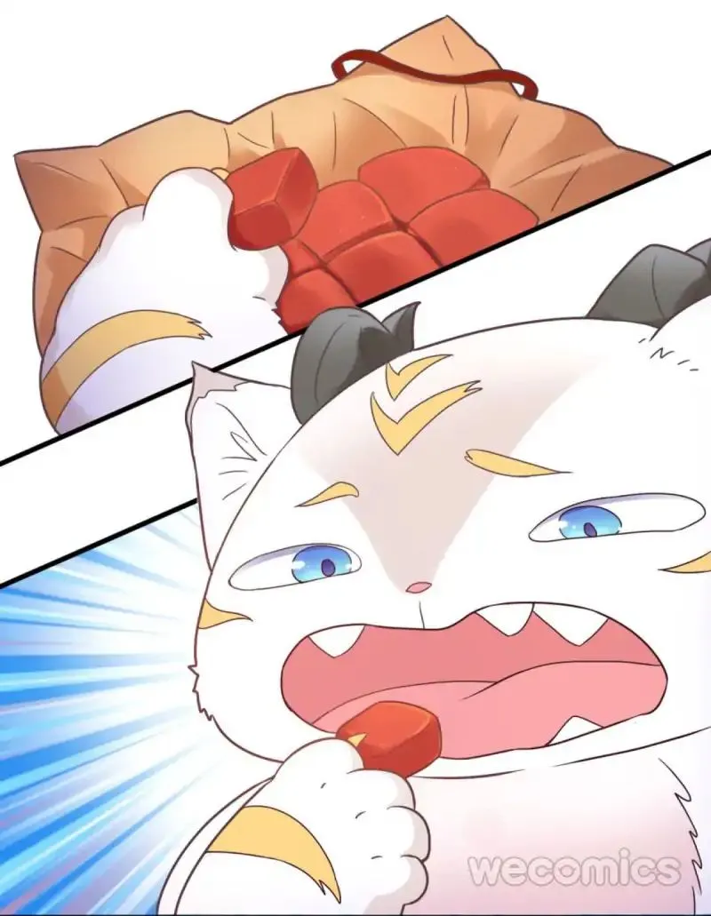 Oh My Little White Dragon Chapter 19 page 32 - 