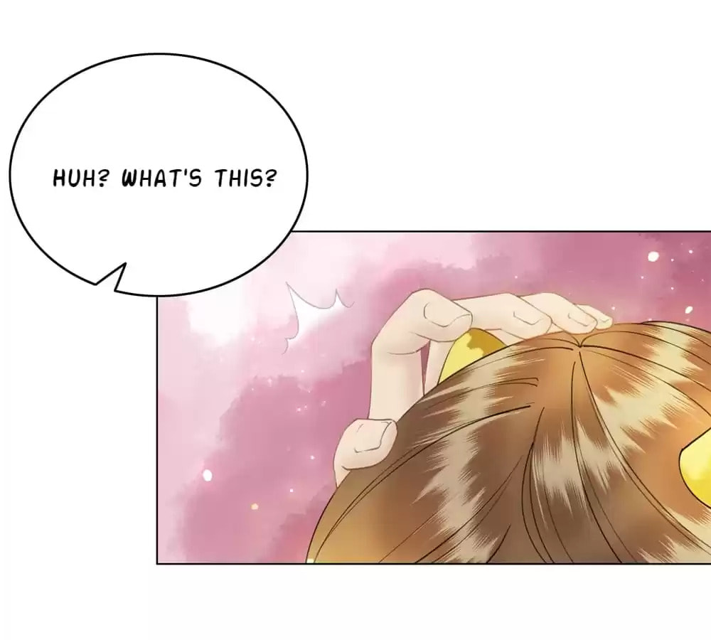 Read Oh No! It