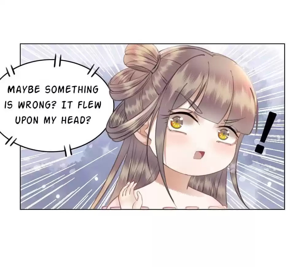 Read Oh No! It