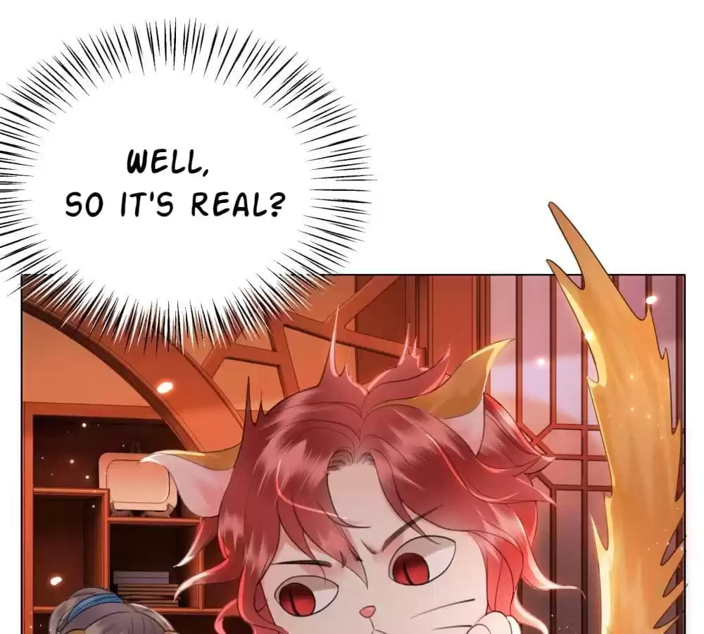 Read Oh No! It