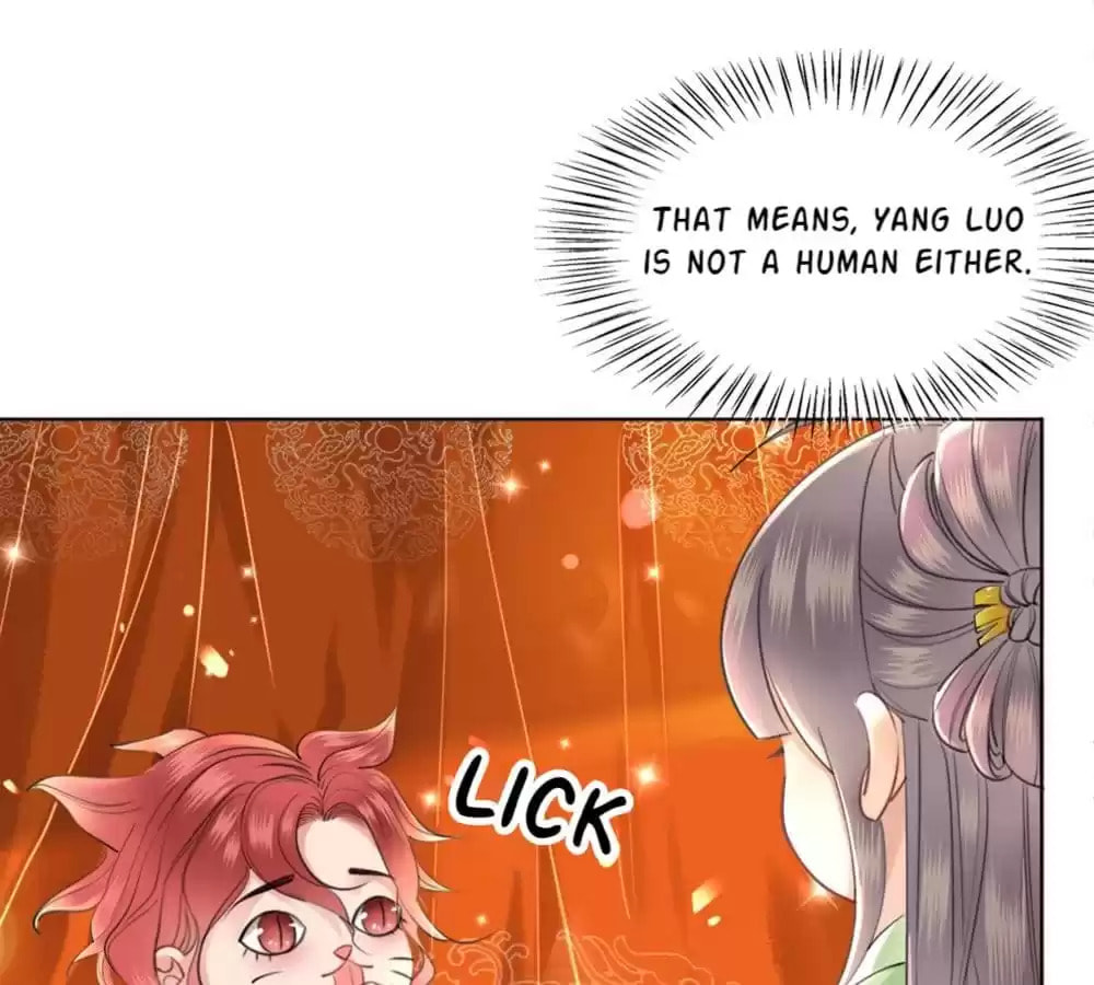 Read Oh No! It