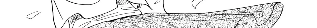 Read Ohana Holoholo chapter 33 image 27 on Lezhin