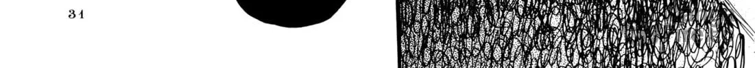 Read Ohana Holoholo chapter 34 image 59 on Lezhin