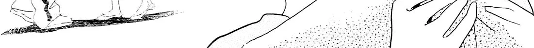 Read Ohana Holoholo chapter 5 image 25 on Lezhin
