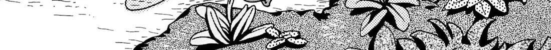 Read Ohana Holoholo chapter 6 image 1 on Lezhin