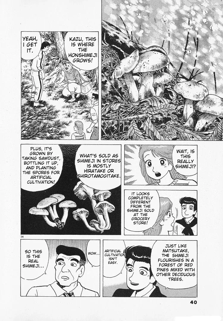Read Oishinbo chapter 179 image 13 on Lezhin