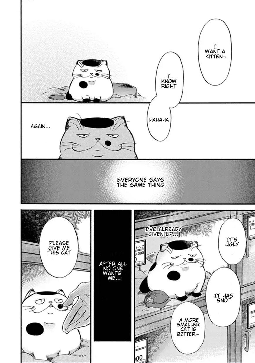 Read Ojisama to Neko chapter 1 image 2 on Lezhin