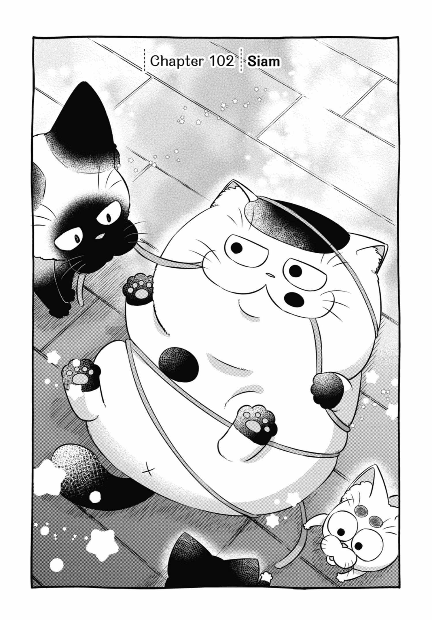 Read Ojisama to Neko chapter 102 image 1 on Lezhin