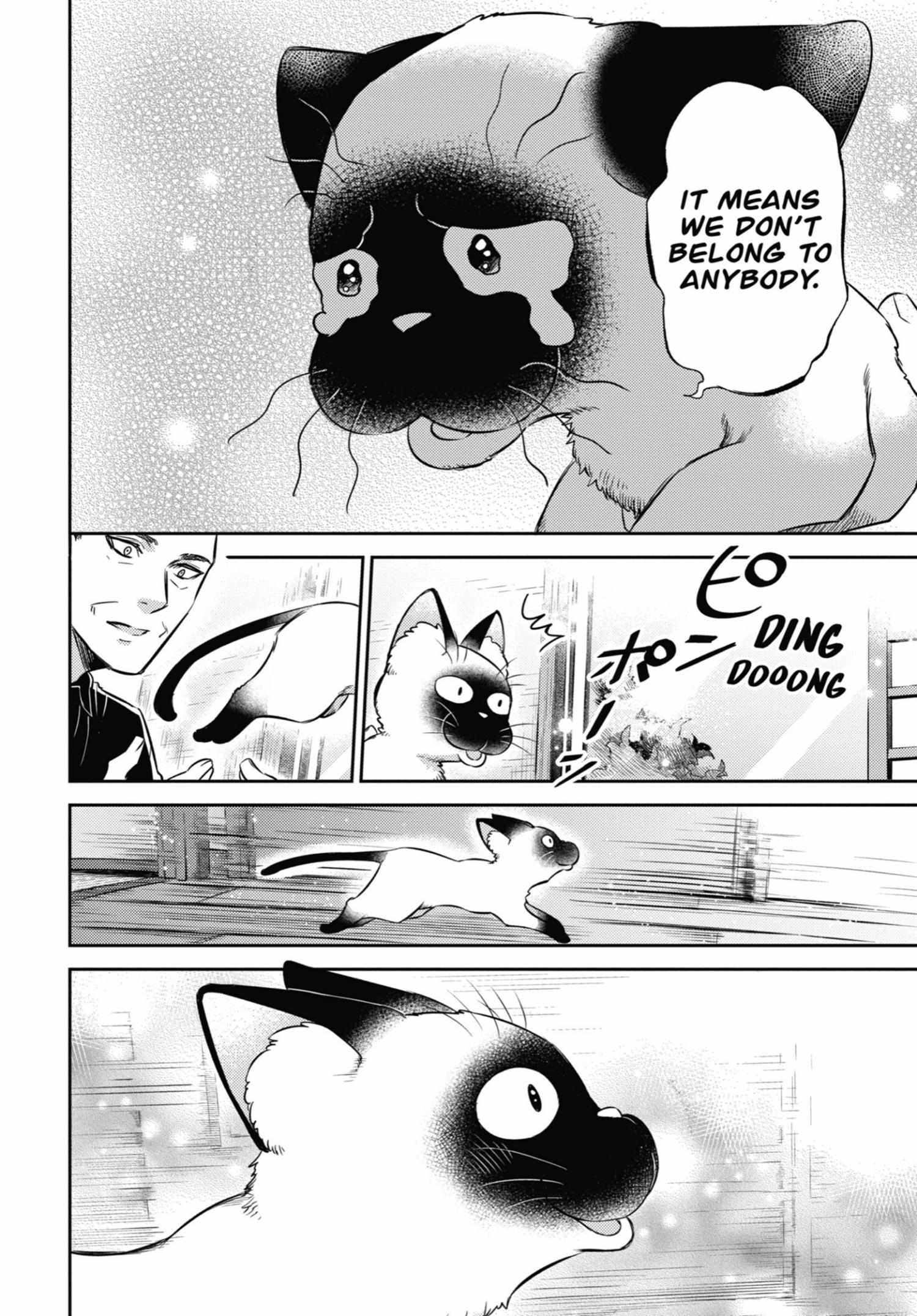 Read Ojisama to Neko chapter 102 image 12 on Lezhin