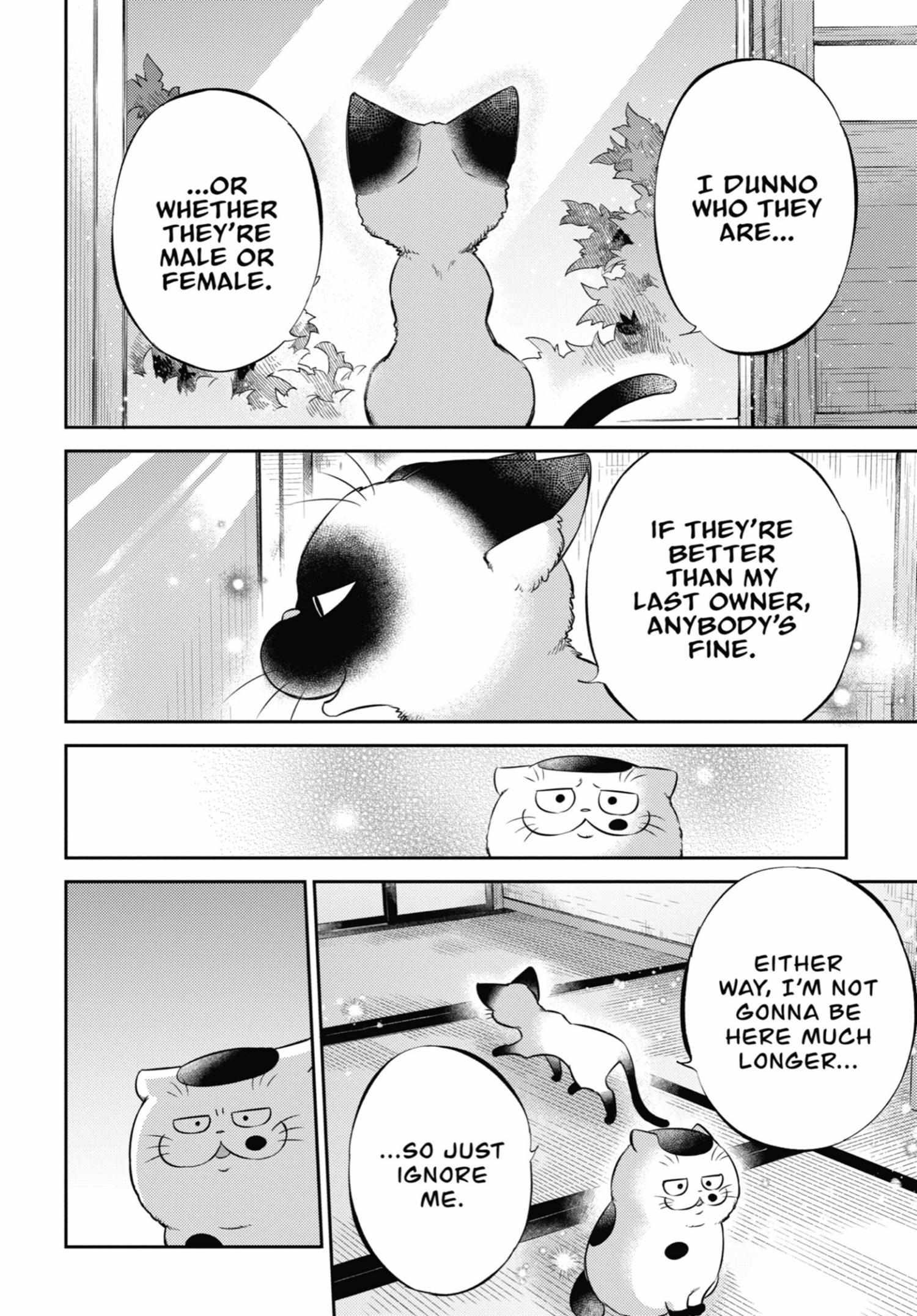 Read Ojisama to Neko chapter 102 image 16 on Lezhin
