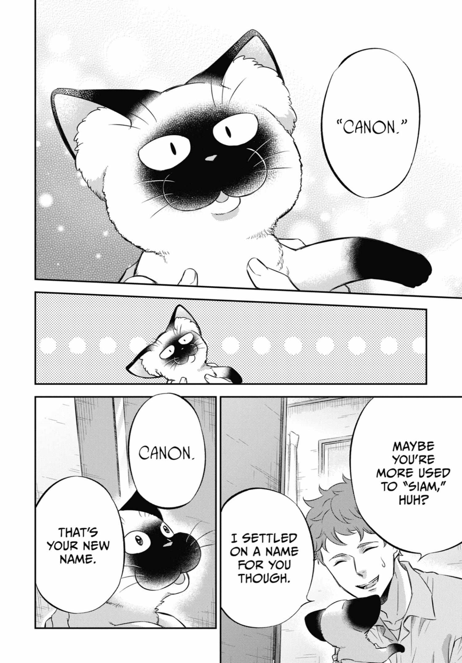 Read Ojisama to Neko chapter 102 image 22 on Lezhin