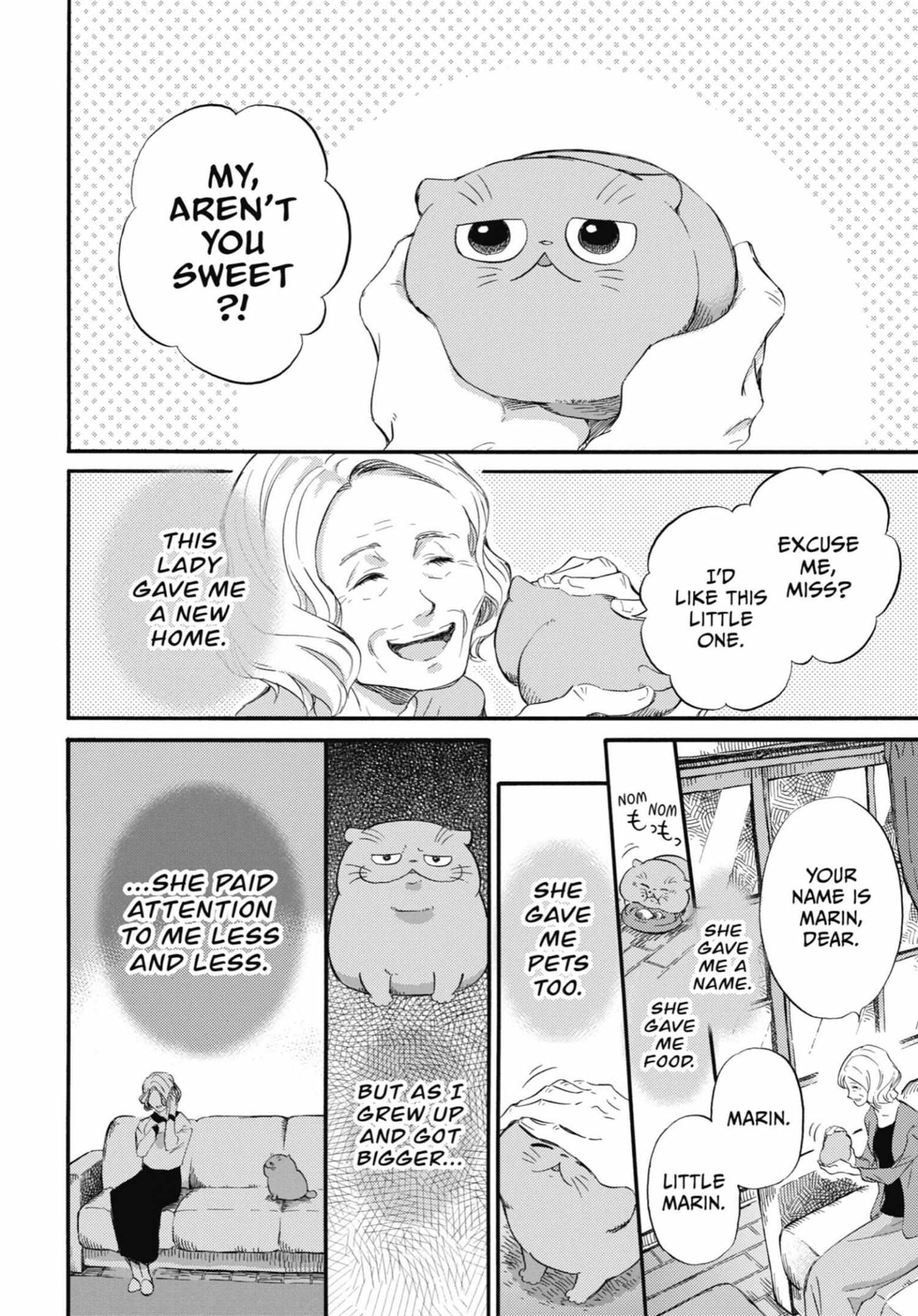 Read Ojisama to Neko chapter 37 image 1 on Lezhin