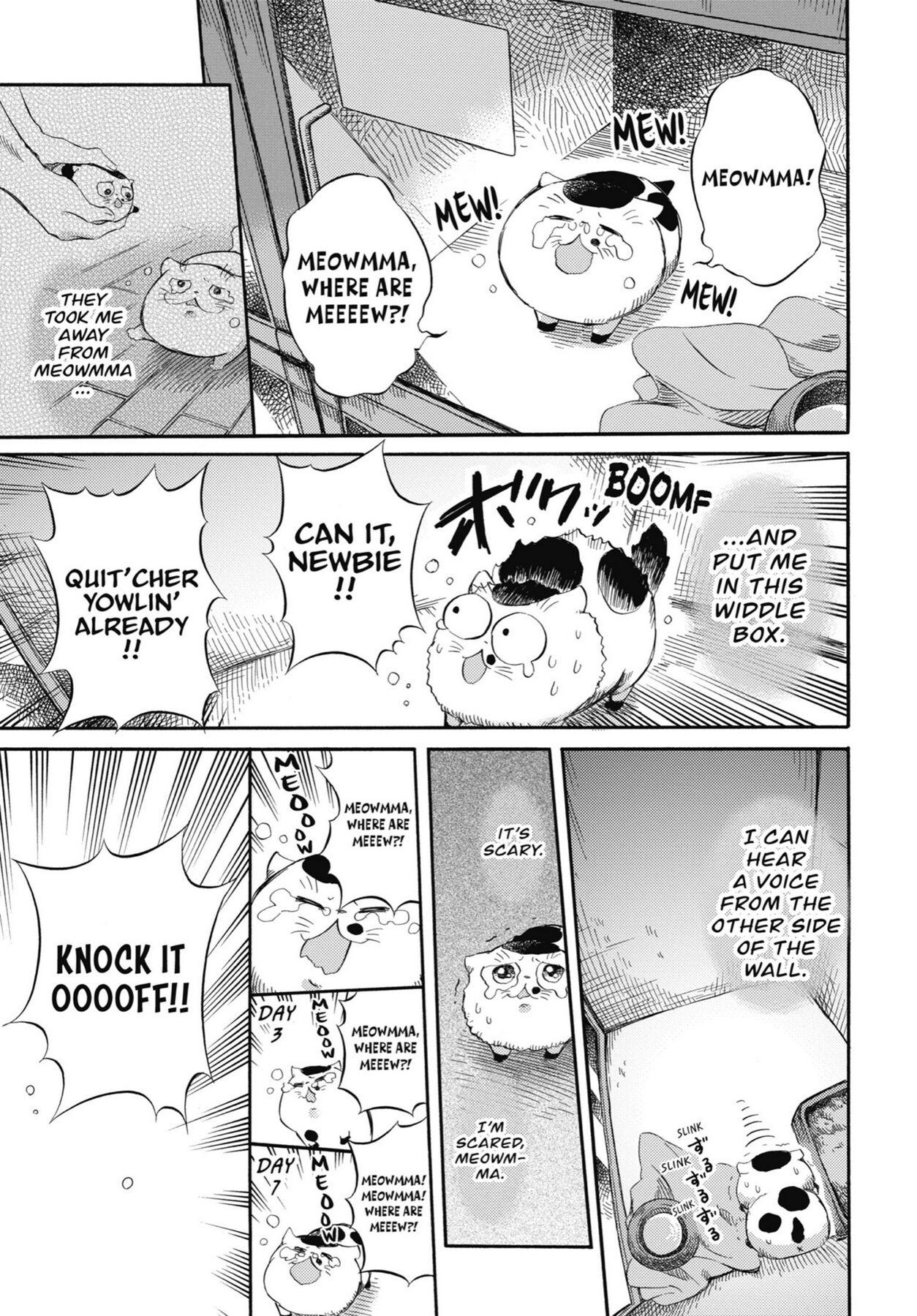 Read Ojisama to Neko chapter 47 image 1 on Lezhin