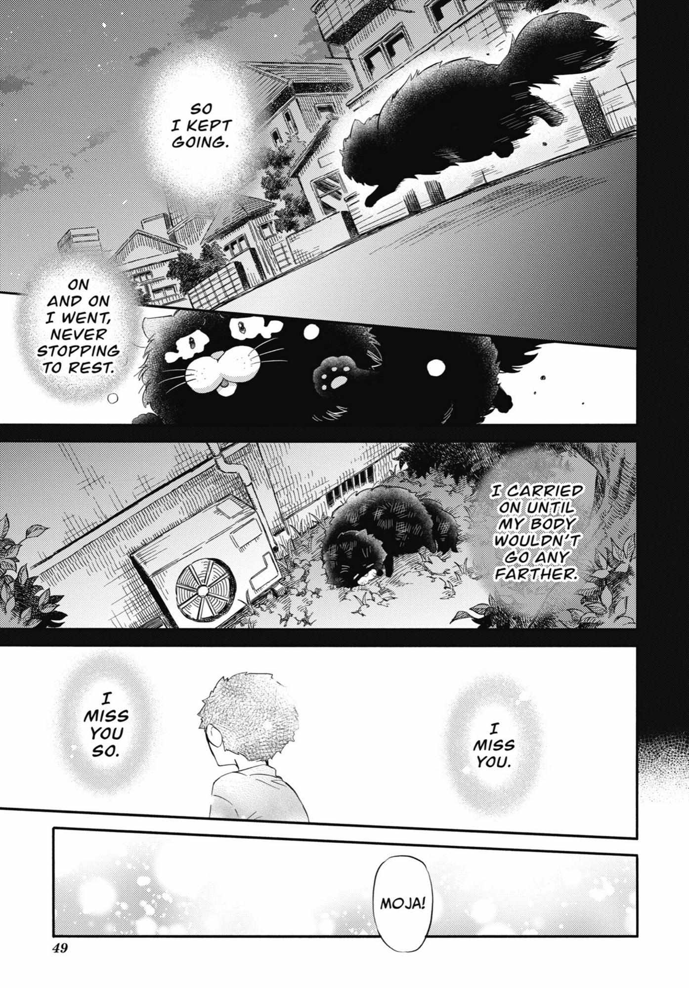 Read Ojisama to Neko chapter 51 image 9 on Lezhin