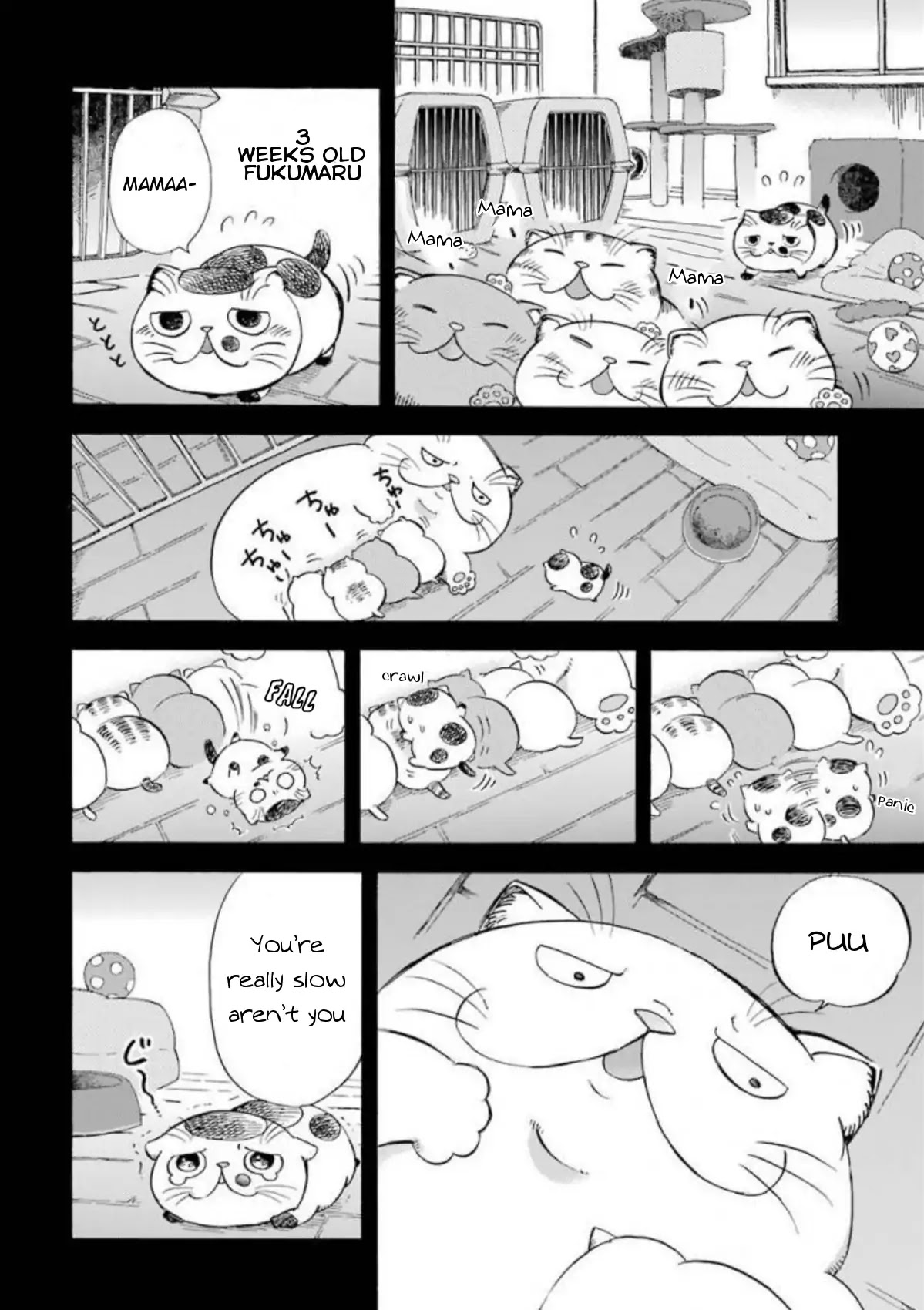 Read Ojisama to Neko chapter 8 image 1 on Lezhin