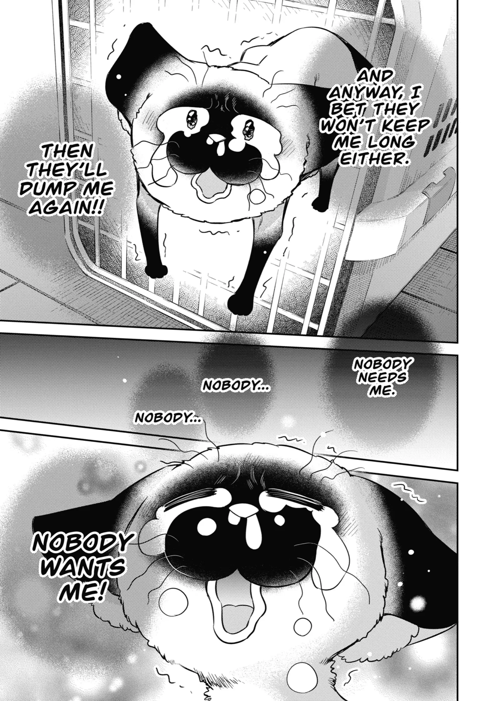 Read Ojisama to Neko chapter 91 image 13 on Lezhin