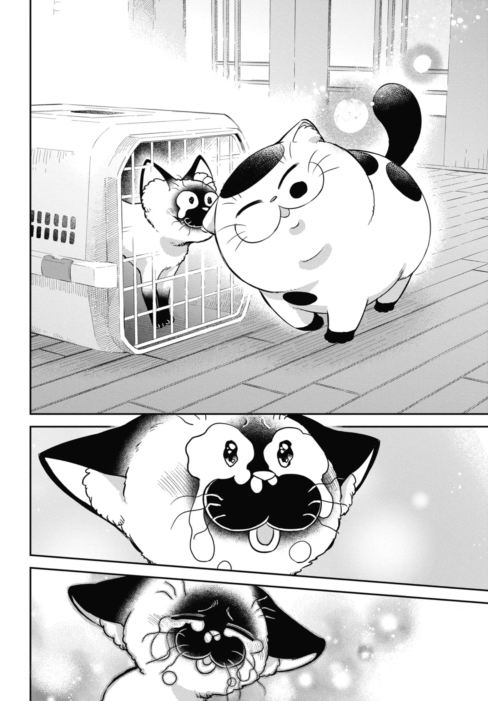 Read Ojisama to Neko chapter 91 image 16 on Lezhin