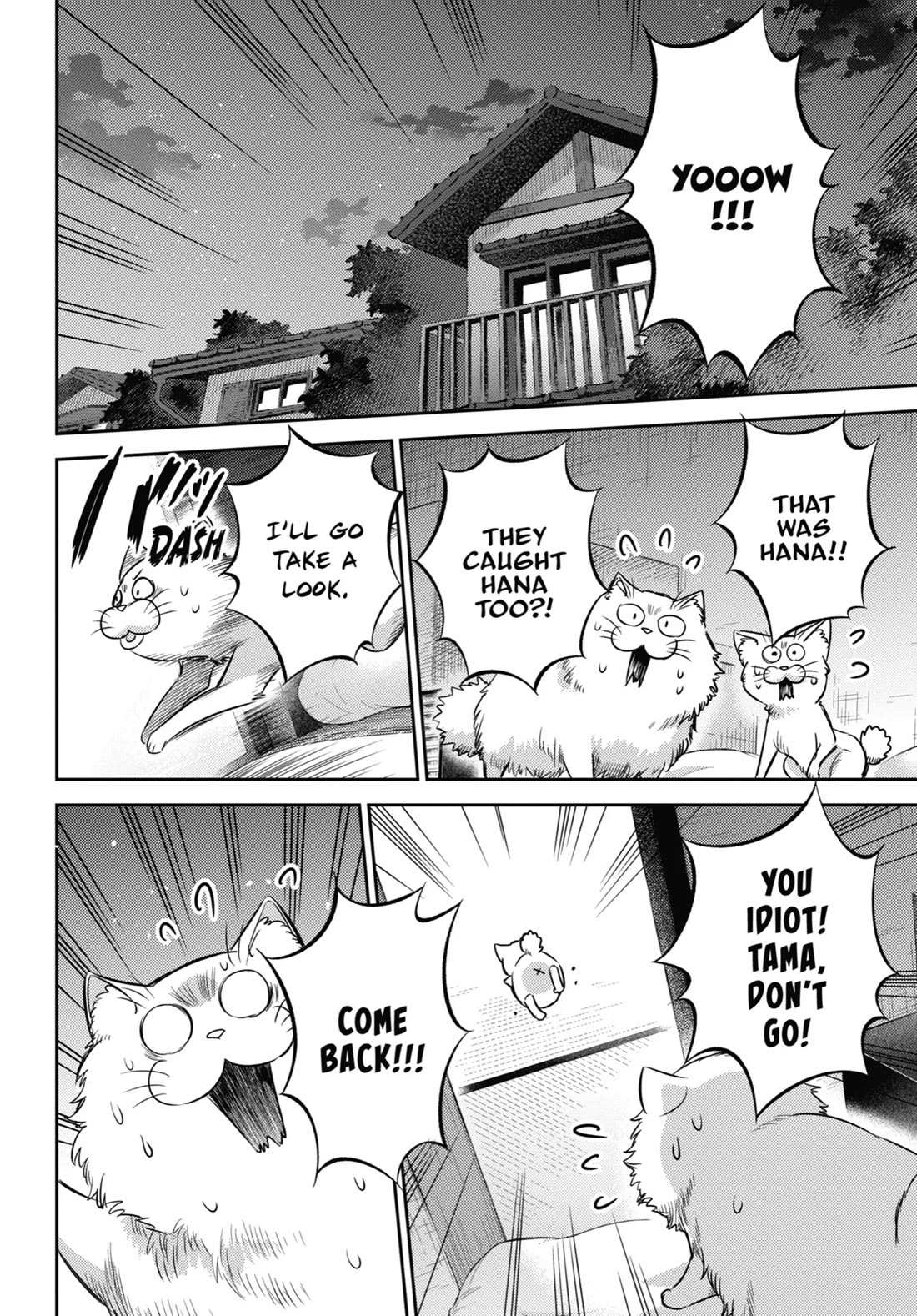 Read Ojisama to Neko chapter 96 image 13 on Lezhin