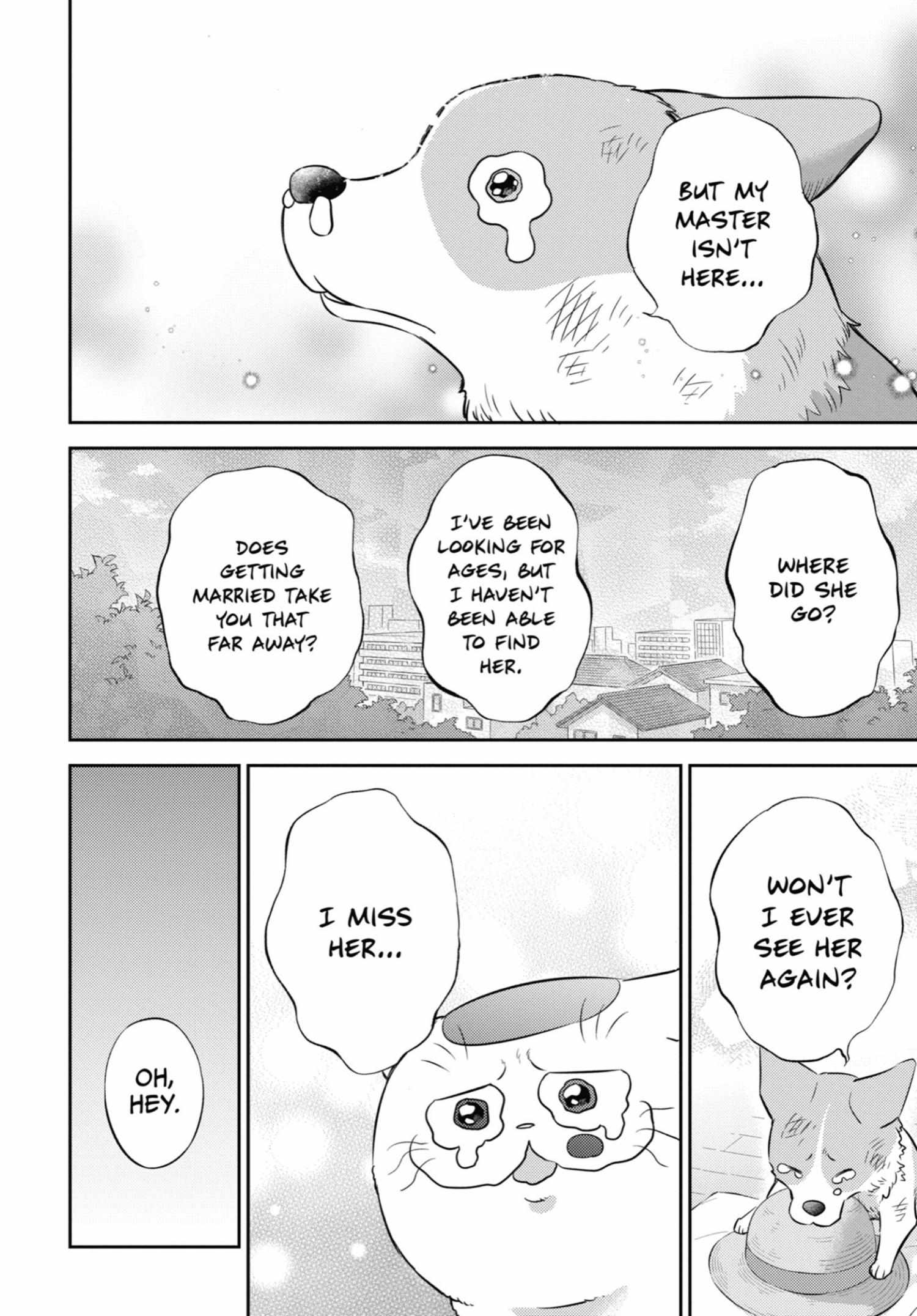 Read Ojisama to Neko chapter 99 image 20 on Lezhin