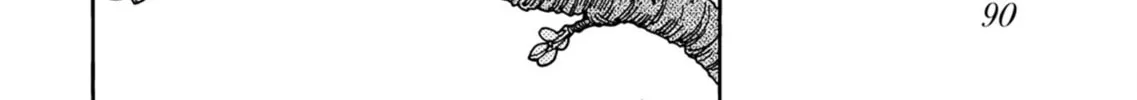 Oku-san Chapter 152 page 20 - 