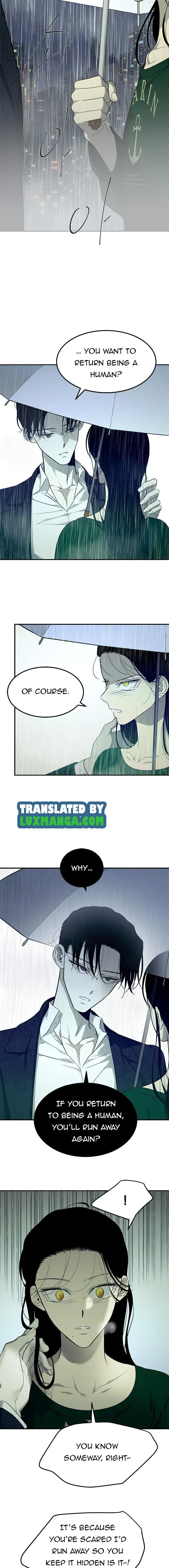 Read Olgami chapter 151 image 4 on Lezhin
