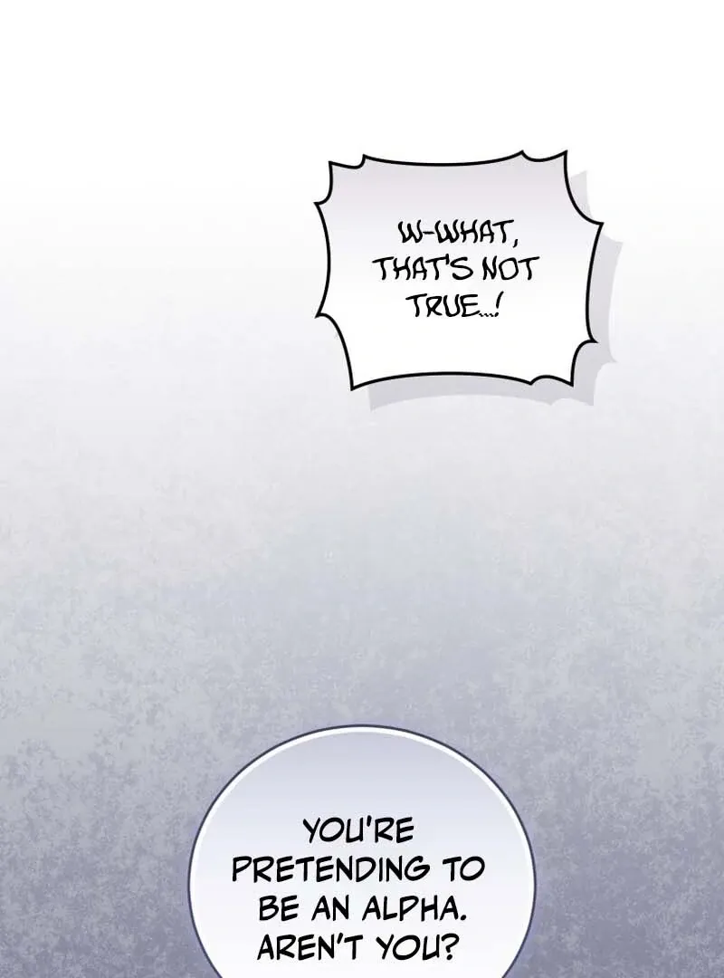Omega Society: Professional Ethics Chapter 1 page 15 - 