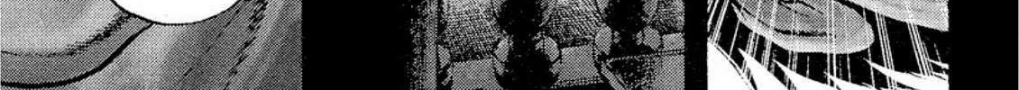 Read Omega Tribe chapter 30 image 2 on Lezhin