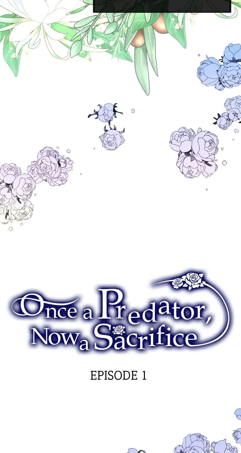 Read Once a Predator, Now a Sacrifice chapter 1 image 54 on Lezhin