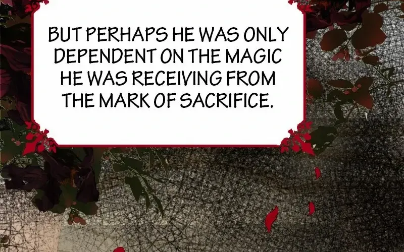 Read Once a Predator, Now a Sacrifice chapter 10 image 52 on Lezhin