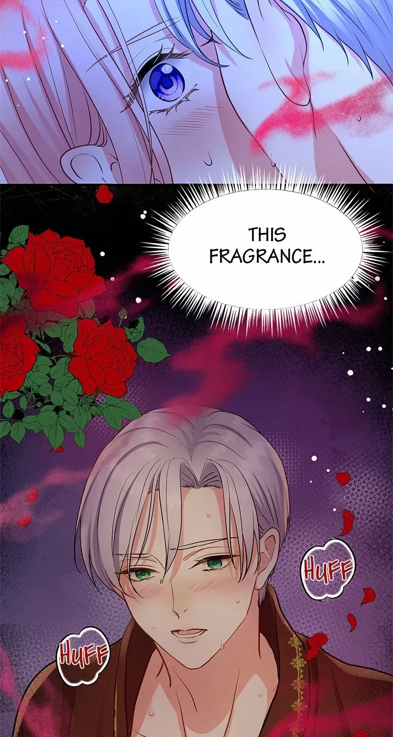 Read Once a Predator, Now a Sacrifice chapter 12 image 11 on Lezhin