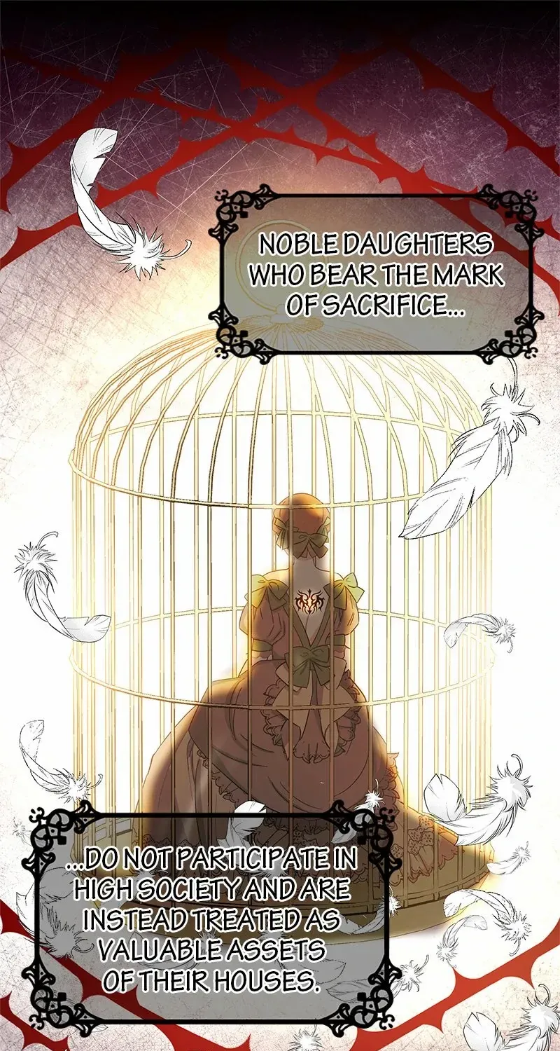 Read Once a Predator, Now a Sacrifice chapter 12 image 59 on Lezhin