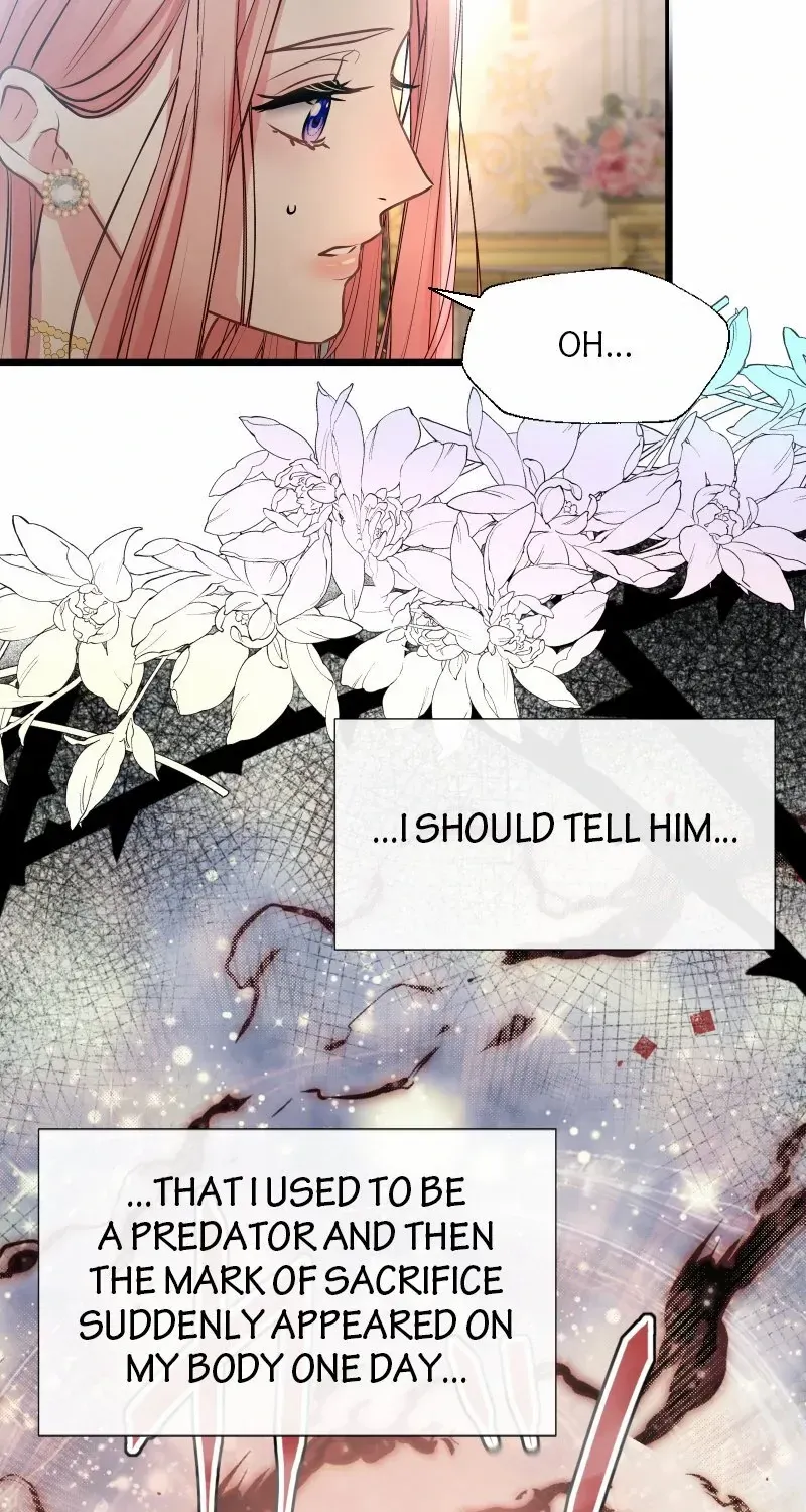 Read Once a Predator, Now a Sacrifice chapter 16 image 93 on Lezhin
