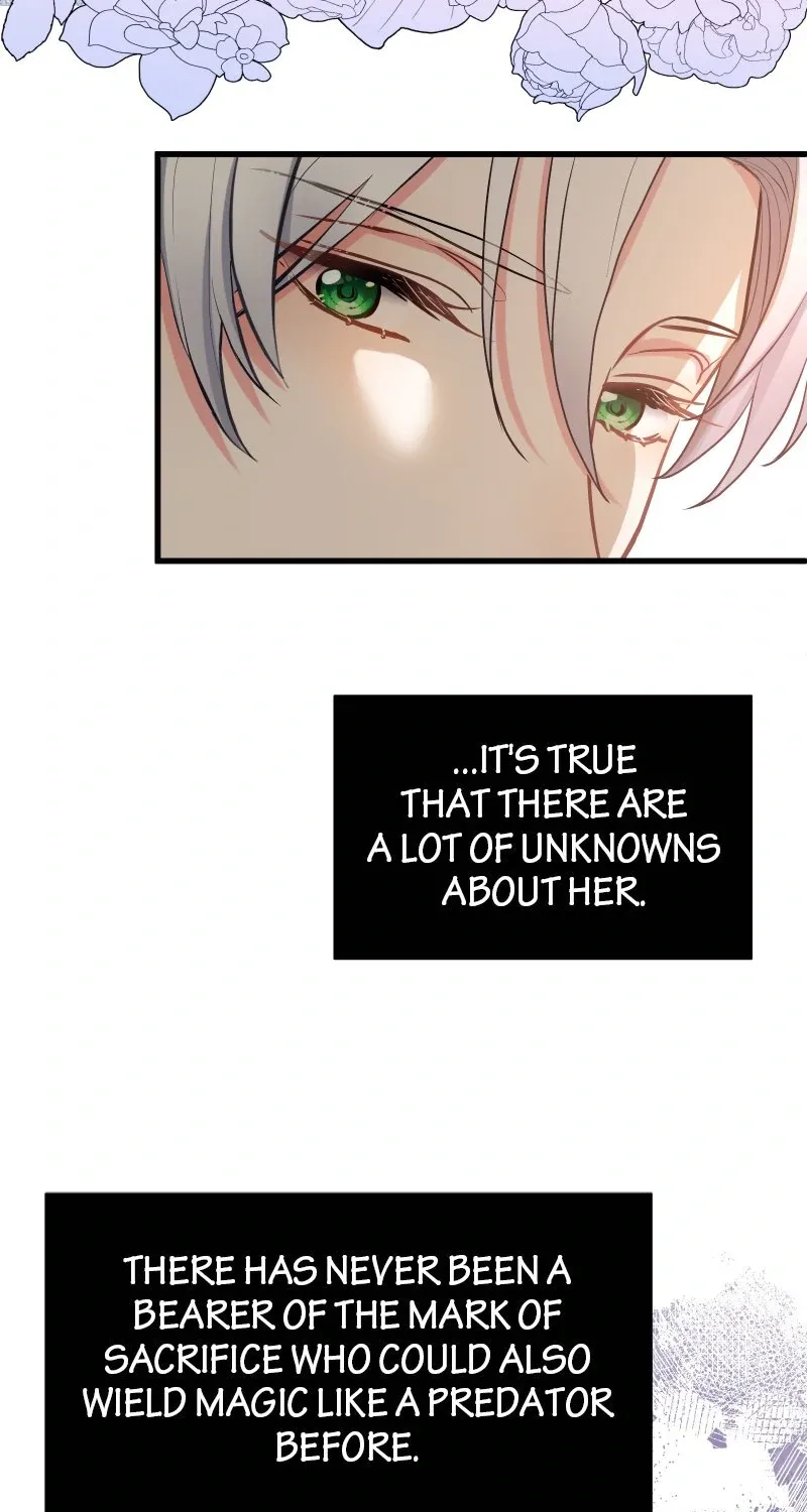 Read Once a Predator, Now a Sacrifice chapter 17 image 66 on Lezhin